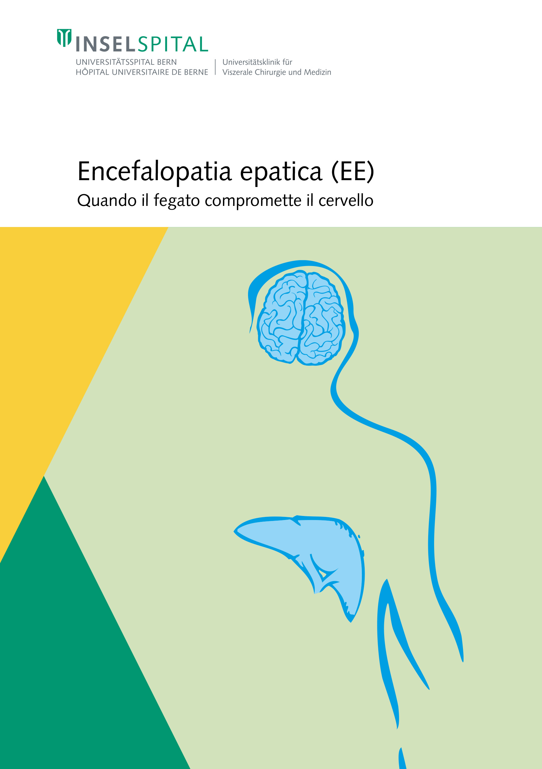 Brochure sull'encefalopatia epatica (HE)