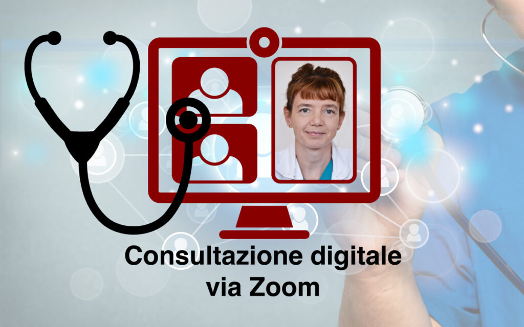 Consultazione digitale via Zoom